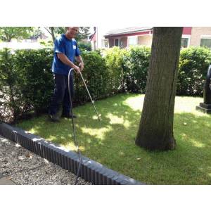 Ayla boomverzorging.jpg