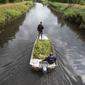 Dolmans Den Boer.jpg