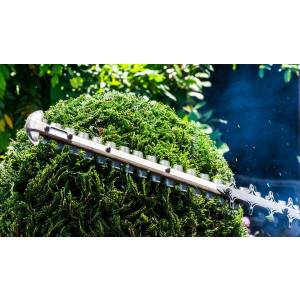 Hooyer Hoveniers.jpg