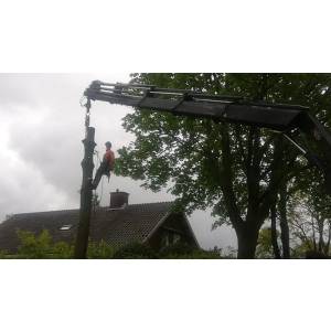 Ster Boomverzorging.jpg