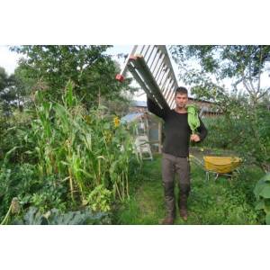 bomen natuurlijk.jpg