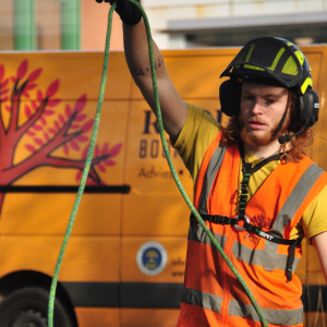 Rooibos Boomverzorging.jpg