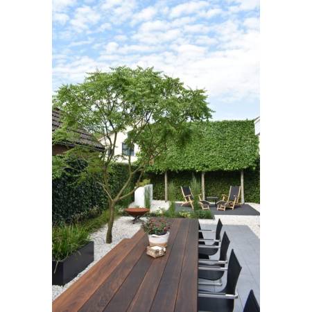 Hoveniersbedrijf Boomkwekerij De Haan.jpg