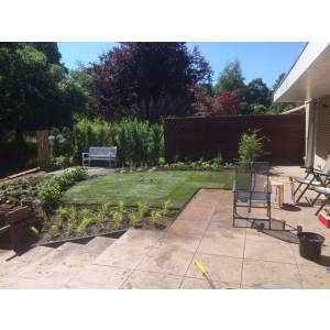 Van Beets Groengroep BV.jpg