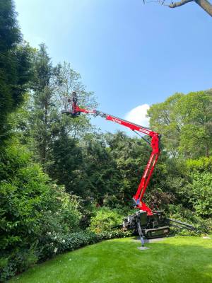 VITA Boomverzorging.jpg