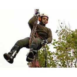 allure boomverzorging.jpg