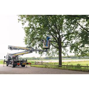 Pendula Boomzorg BV.jpg