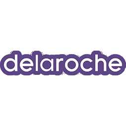 delaroche Online Marketing Den Haag.jpg