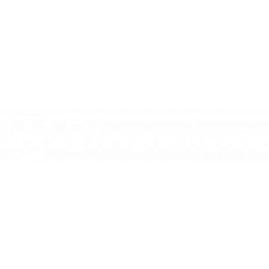 Diversions.nl.jpg