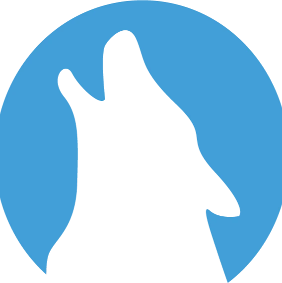 E-wolve Website Ontwikkeling.jpg