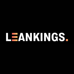 Leankings online marketing bureau Zoetermeer, Den Haag en omgeving..jpg