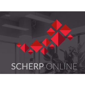 Scherp Online - Internet Marketing Bureau Eindhoven.jpg