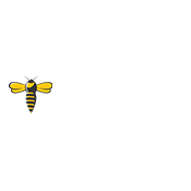 BEE SEO Hilversum.jpg