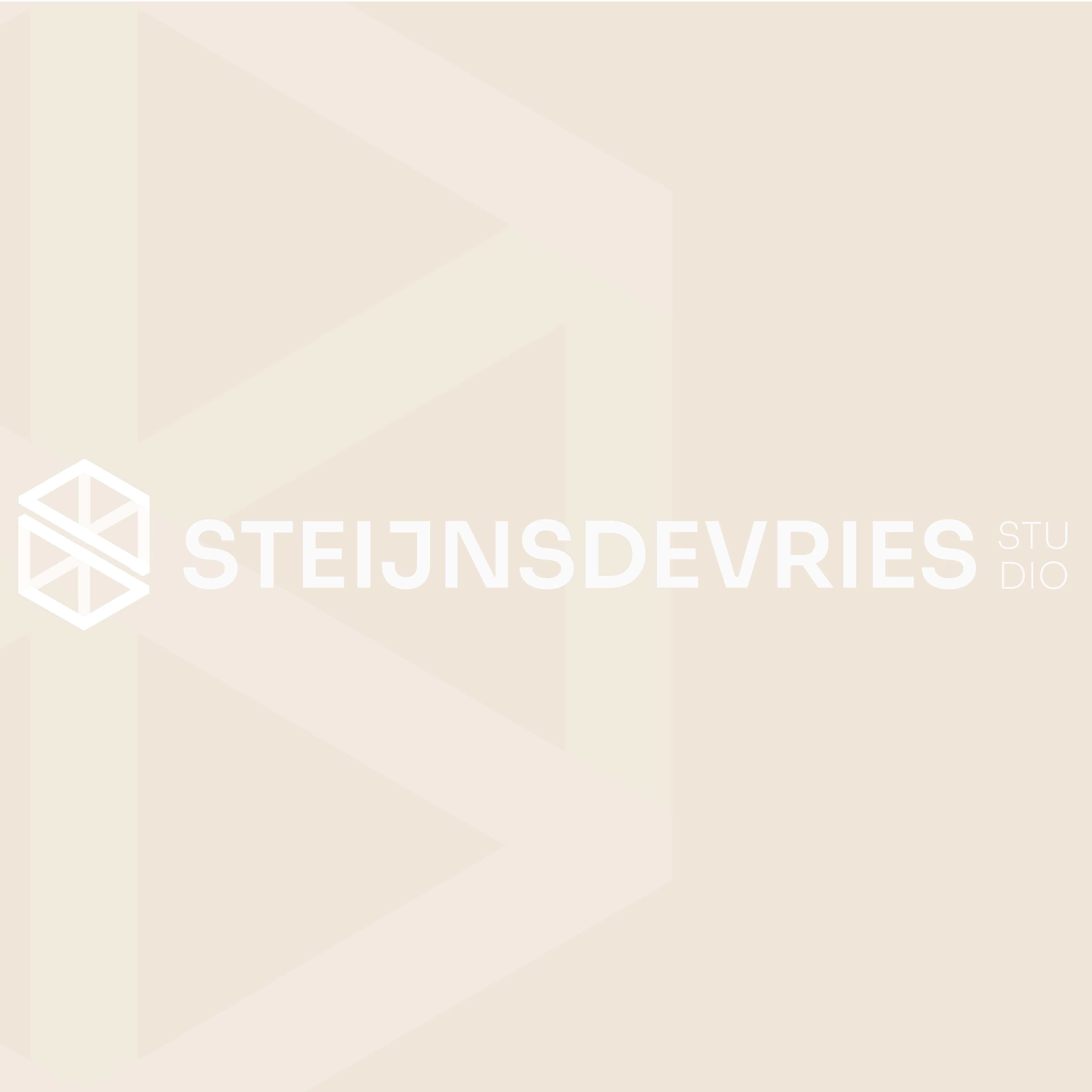 SteijnsdeVries.jpg