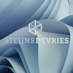 SteijnsdeVries.jpg