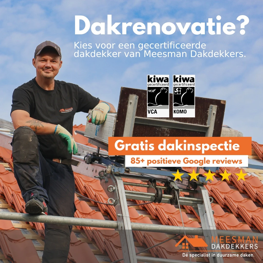 Meesman Dakdekkers.jpg