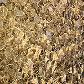Renne Maler GmbH.jpg