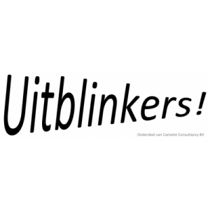 Camelot Consulting B.V. h/o Uitblinkers!.jpg