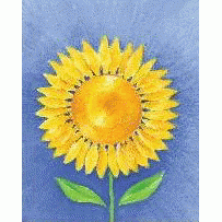 Hoogendam Coaching.jpg