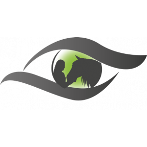 No Nonsense Coach.jpg