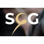 Strategisch Coachen Groep.jpg