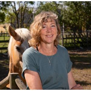 Paardencoach aan Zee .jpg
