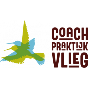 Coachpraktijk Vlieg.jpg