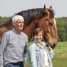Paardencoaching in Drenthe.jpg
