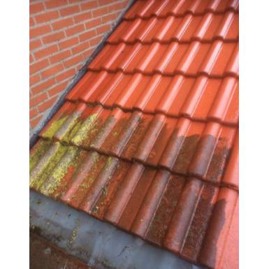 Buitenhuis Reiniging.jpg