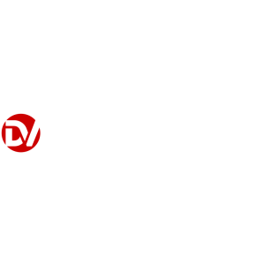 Dutch Visuals.jpg