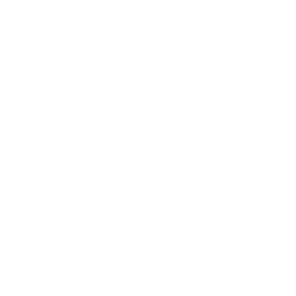 Vidvd - Video naar DVD.jpg