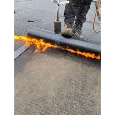 Dak specialist.  Gelderland/ Overijssel..jpg