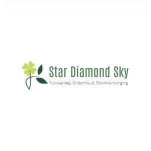 Star Diamond Sky.jpg