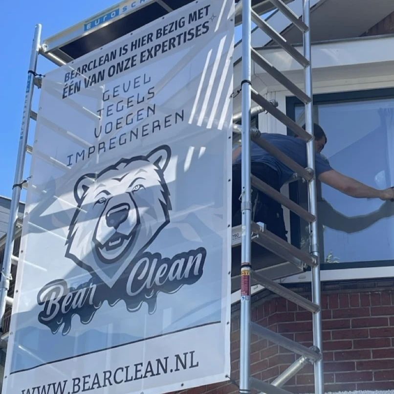 Bearclean.jpg