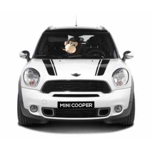 Autorijschool kok&co..jpg