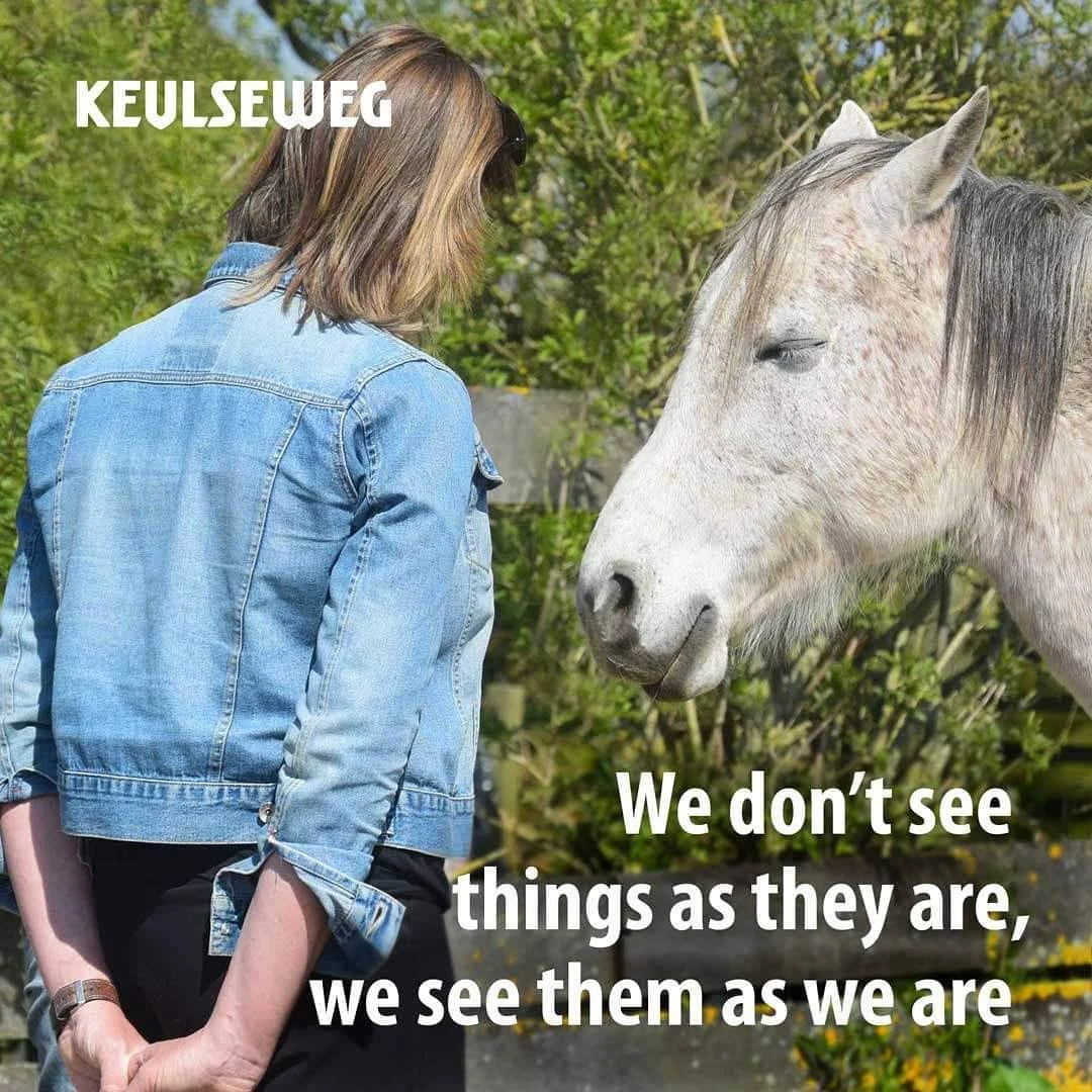 Samvinna coaching , coaching en begeleiding met hulp van paarden.jpg