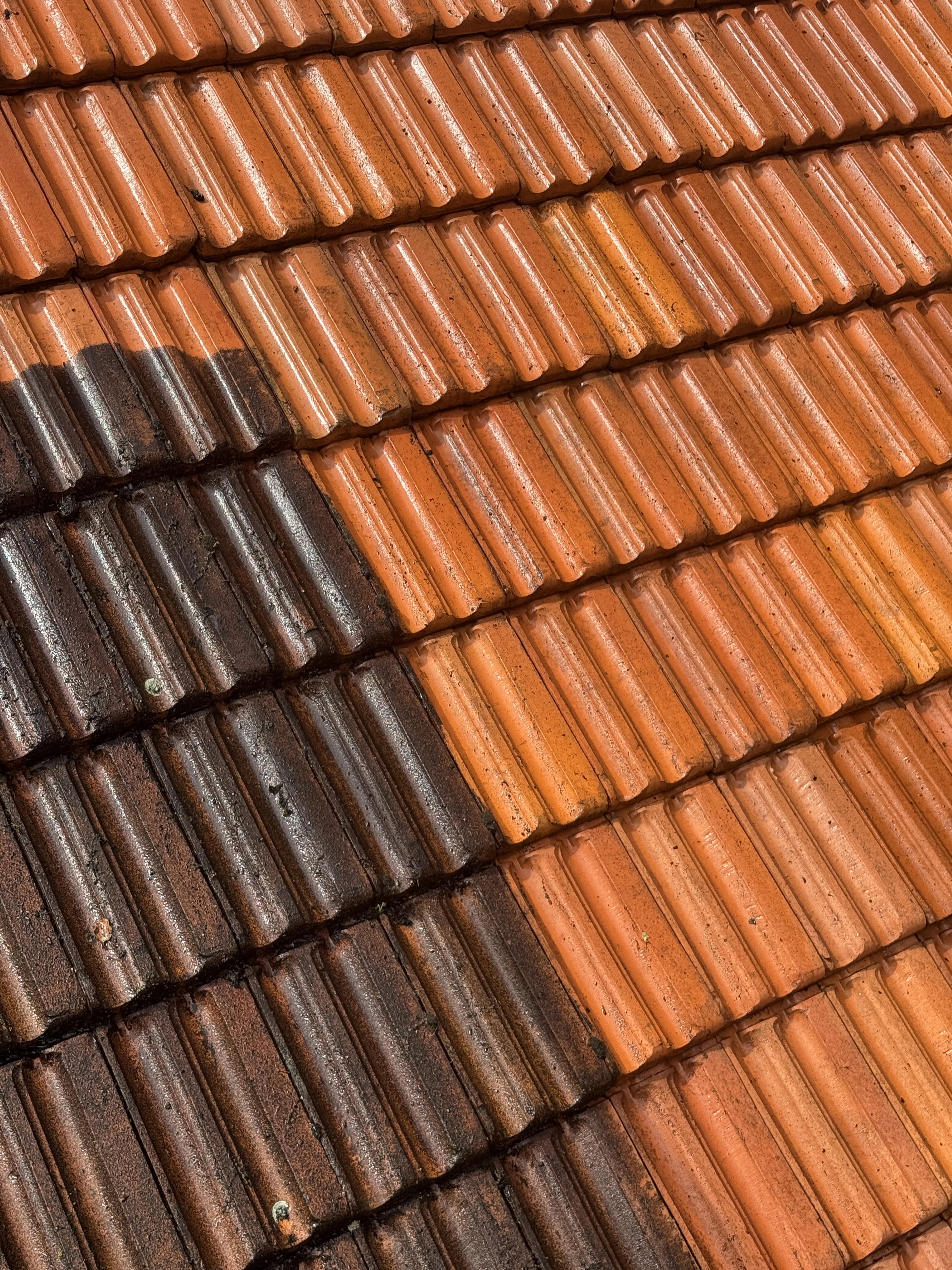 Vrolijk Reinigen.jpg