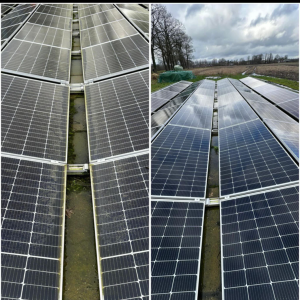 Ten Dam reiniging.jpg