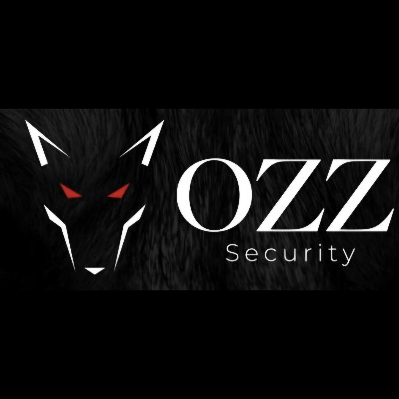 OZZ Security.jpg