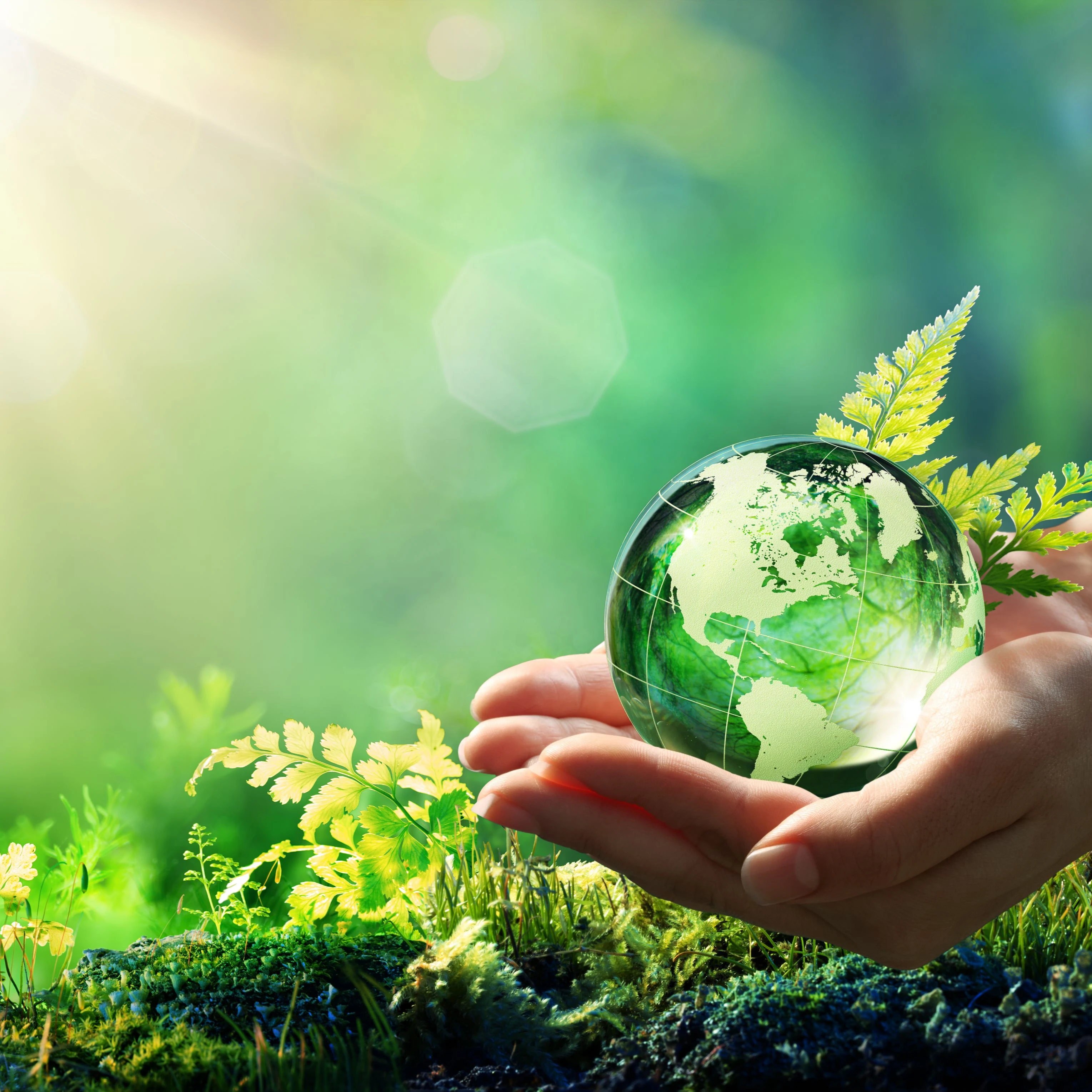 Admanstars Advies BV.jpg