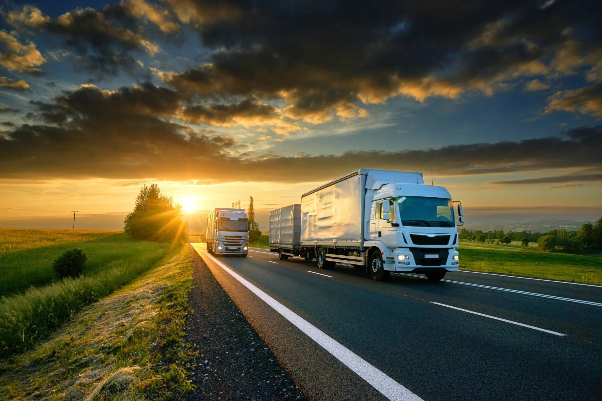Ollis Dienstleistungen und Transporte.jpg