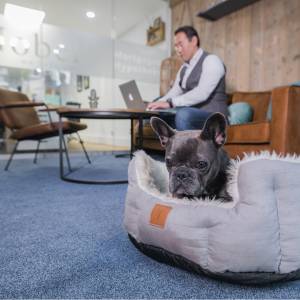 Nobel Hypotheken Amsterdam.jpg