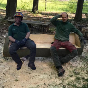 Kroonmeesters boomverzorging.jpg